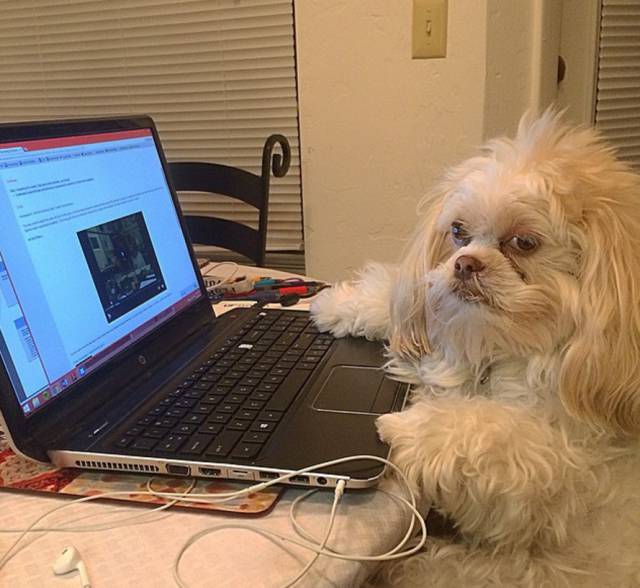 morning picdump 54 pics 27.html - 54 HD Photos | Premium Gallery 2016