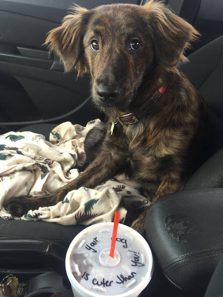 morning picdump 54 pics 27.html - 54 HD Photos | Premium Gallery 2016