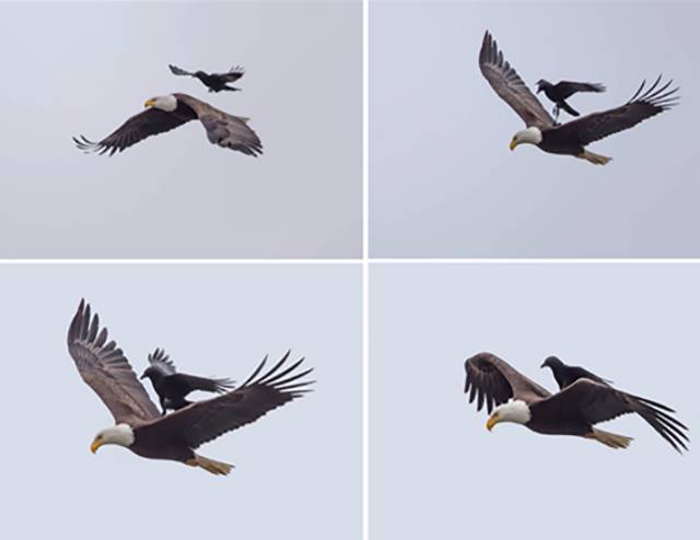 morning picdump 51 pics 3.html - 51 HD Photos | Premium Gallery 2016