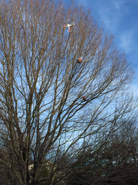 morning picdump 51 pics 3.html - 51 HD Photos | Premium Gallery 2016