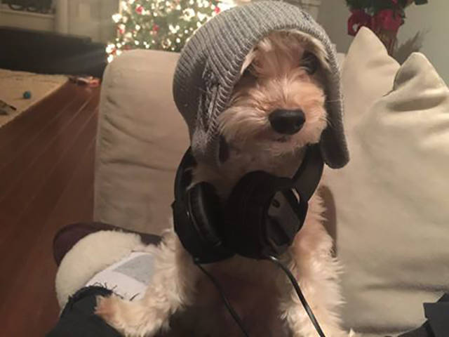 morning picdump 51 pics 3.html - 51 HD Photos | Premium Gallery 2016