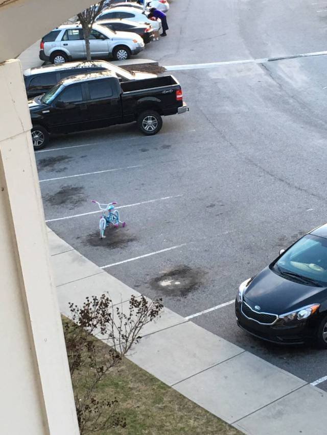 morning picdump 51 pics 3.html - 51 HD Photos | Premium Gallery 2016