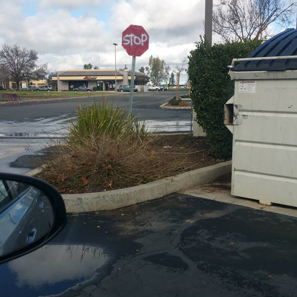 morning picdump 52 pics 9.html - 52 HD Photos | Premium Gallery 2016