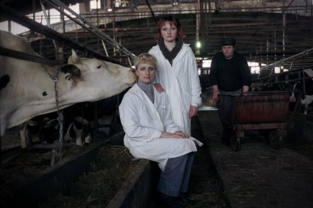 morning picdump 52 pics 9.html - 52 HD Photos | Premium Gallery 2016