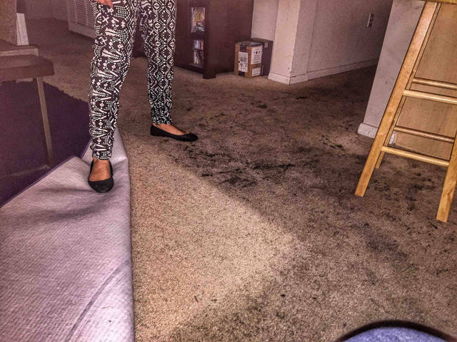 morning picdump 52 pics 9.html - 52 HD Photos | Premium Gallery 2016