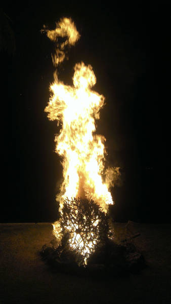 morning picdump 51 pics 1.html - 51 HD Photos | Premium Gallery 2016