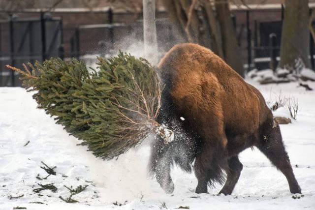 morning picdump 51 pics 1.html - 51 HD Photos | Premium Gallery 2016