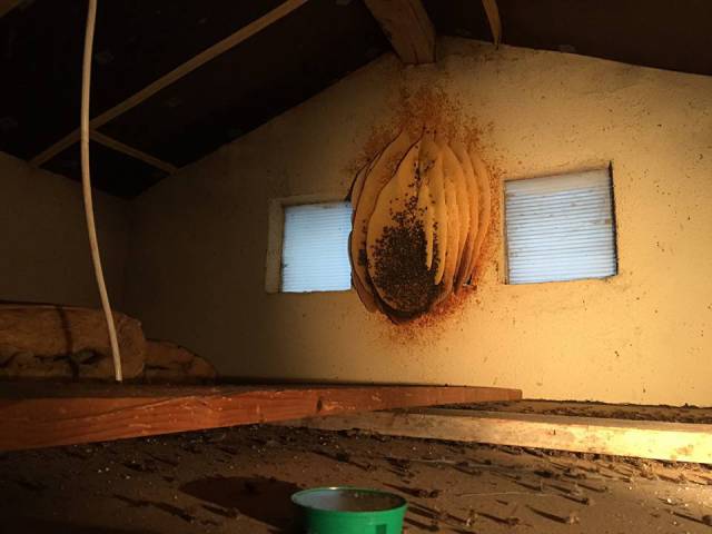 morning picdump 51 pics 1.html - 51 HD Photos | Premium Gallery 2016