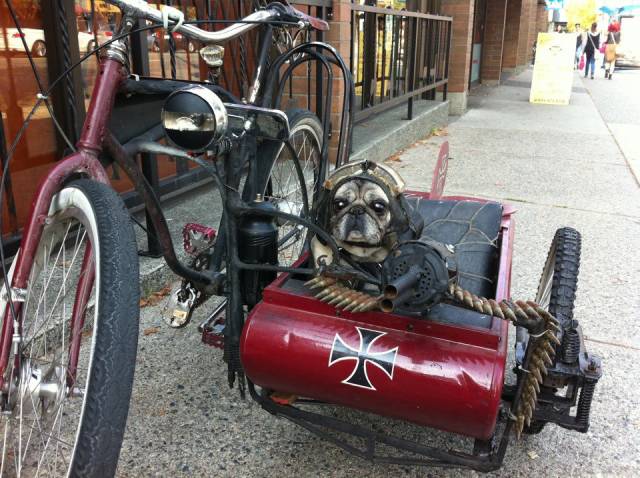 morning picdump 51 pics 1.html - 51 HD Photos | Premium Gallery 2016