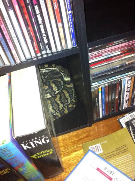 morning picdump 52 pics 12.html - 52 HD Photos | Premium Gallery 2016