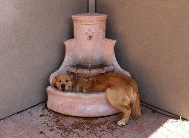 morning picdump 52 pics 2.html - 52 HD Photos | Premium Gallery 2016