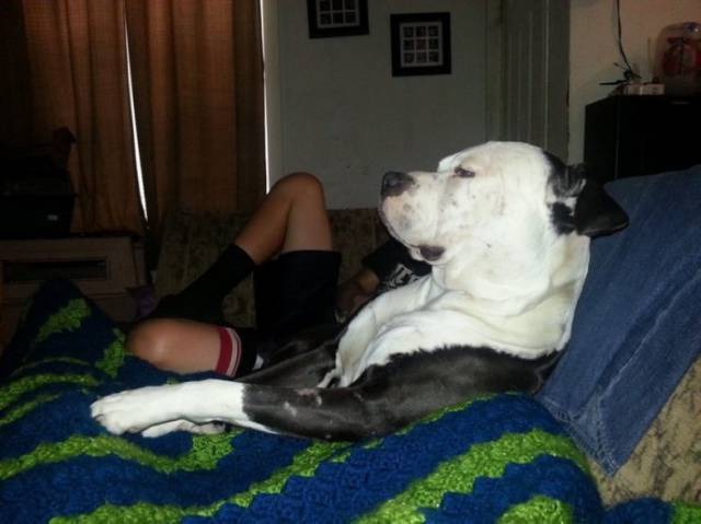 These Photos Will Make You Do a Double Take