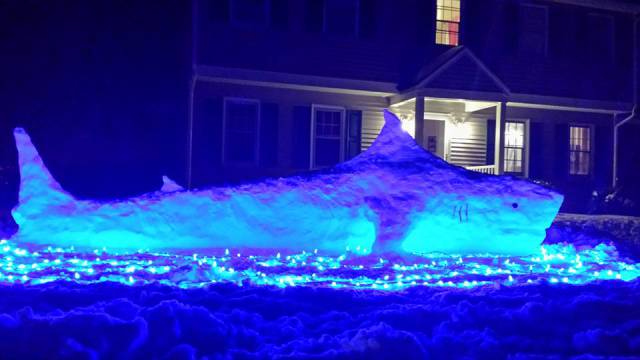 morning picdump 50 pics 7.html - 50 HD Photos | Premium Gallery 2016