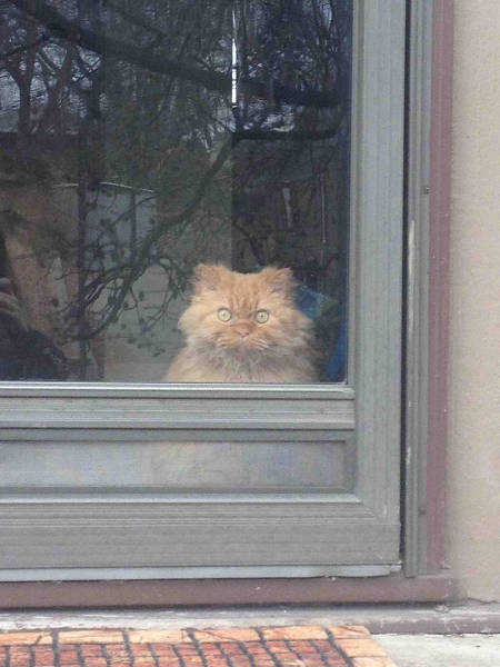 morning picdump 50 pics 7.html - 50 HD Photos | Premium Gallery 2016