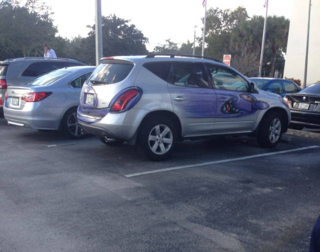 morning picdump 50 pics 7.html - 50 HD Photos | Premium Gallery 2016