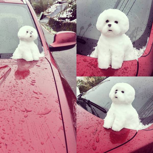 morning picdump 52 pics 15.html - 52 HD Photos | Premium Gallery 2016