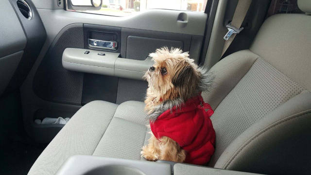 morning picdump 52 pics 15.html - 52 HD Photos | Premium Gallery 2016