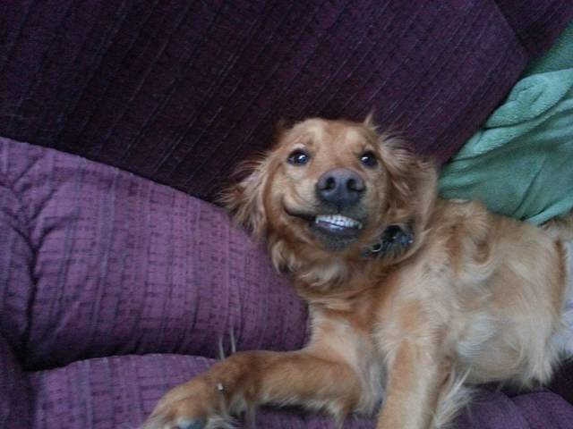 morning picdump 53 pics 21.html - 53 HD Photos | Premium Gallery 2016