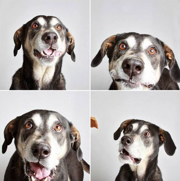 daily picdump 112 pics 17.html - 112 HD Photos | Premium Gallery 2016