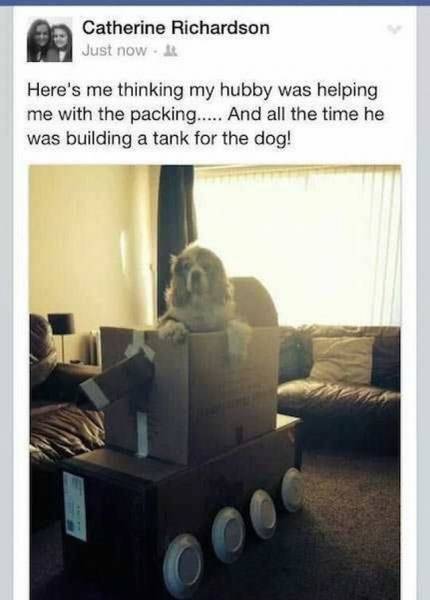 daily picdump 112 pics 17.html - 112 HD Photos | Premium Gallery 2016