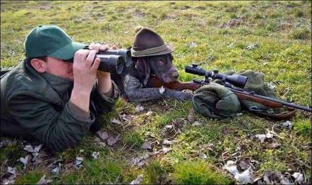 daily picdump 112 pics 17.html - 112 HD Photos | Premium Gallery 2016