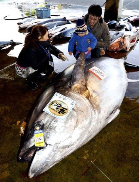 daily picdump 112 pics 17.html - 112 HD Photos | Premium Gallery 2016