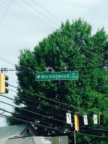 daily picdump 112 pics 17.html - 112 HD Photos | Premium Gallery 2016