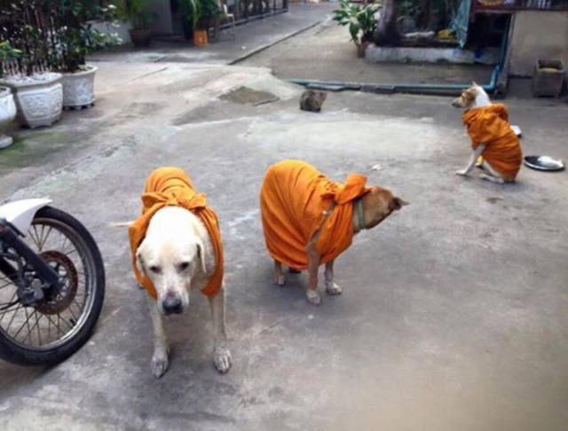 morning picdump 51 pics 14.html - 51 HD Photos | Premium Gallery 2016