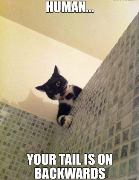 funny picdump 51 pics 26.html - 51 HD Photos | Premium Gallery 2016