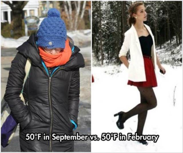 funny picdump 51 pics 26.html - 51 HD Photos | Premium Gallery 2016