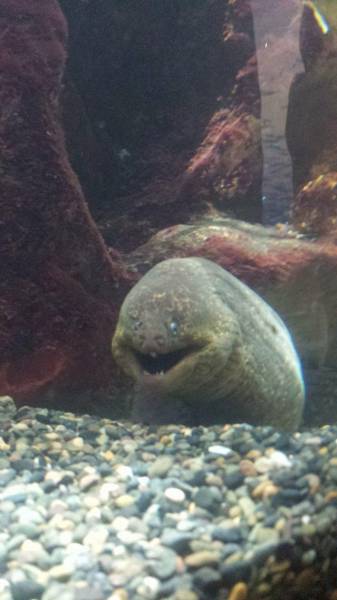 funny picdump 51 pics 26.html - 51 HD Photos | Premium Gallery 2016