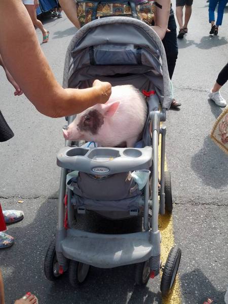 morning picdump 51 pics 9.html - 51 HD Photos | Premium Gallery 2016
