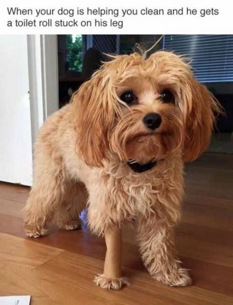 daily picdump 93 pics 6.html - 93 HD Photos | Premium Gallery 2016