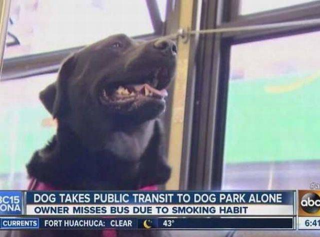 daily picdump 93 pics 6.html - 93 HD Photos | Premium Gallery 2016