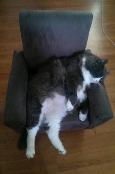 morning picdump 54 pics 2.html - 54 HD Photos | Premium Gallery 2016