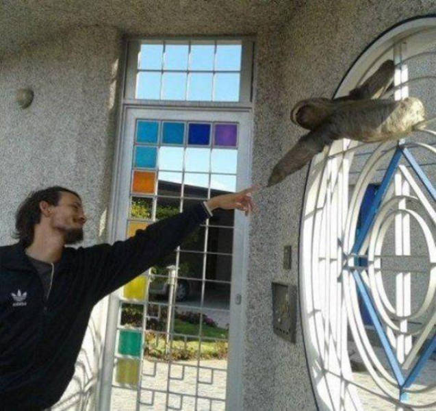 morning picdump 54 pics 2.html - 54 HD Photos | Premium Gallery 2016