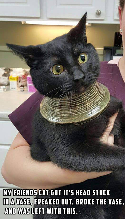 morning picdump 54 pics 2.html - 54 HD Photos | Premium Gallery 2016