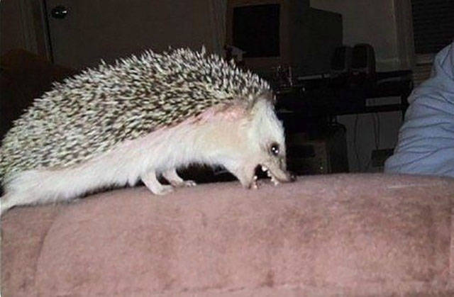 morning picdump 52 pics 5.html - 52 HD Photos | Premium Gallery 2016