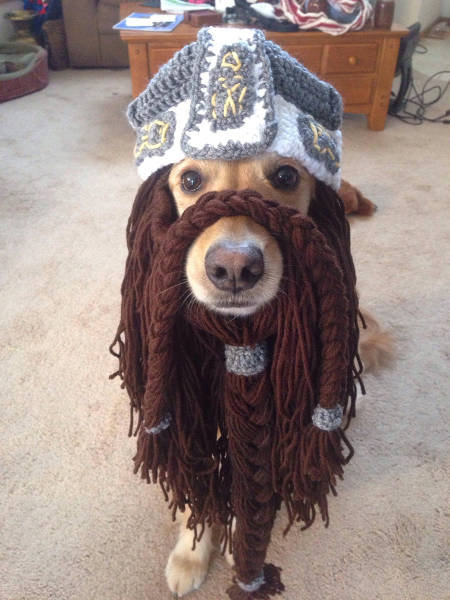 morning picdump 51 pics 19.html - 51 HD Photos | Premium Gallery 2016