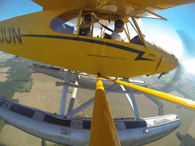 morning picdump 51 pics 19.html - 51 HD Photos | Premium Gallery 2016