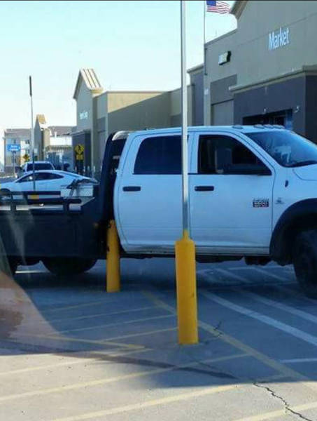 morning picdump 50 pics 25.html - 50 HD Photos | Premium Gallery 2016