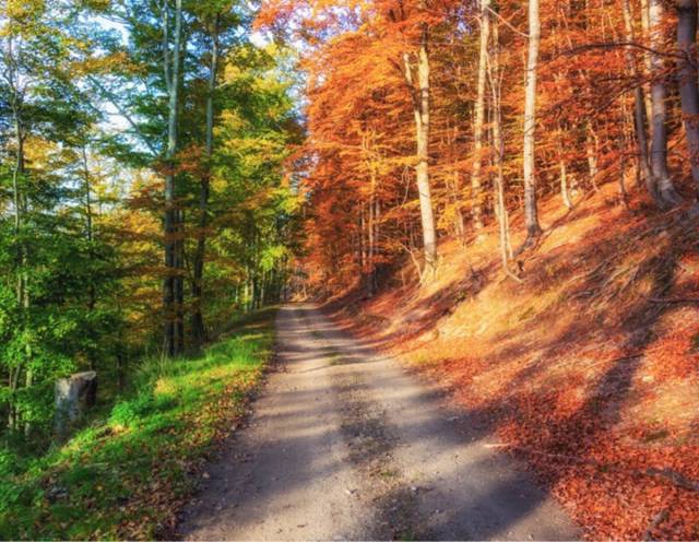 morning picdump 50 pics 25.html - 50 HD Photos | Premium Gallery 2016