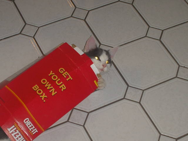 morning picdump 52 pics 15.html - 52 HD Photos | Premium Gallery 2016