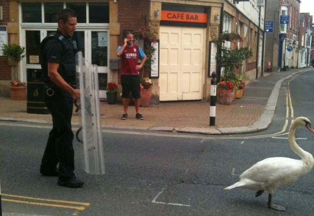 morning picdump 52 pics 15.html - 52 HD Photos | Premium Gallery 2016