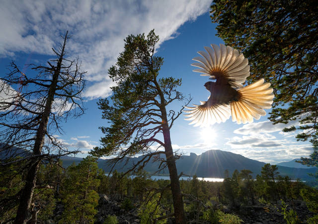 morning picdump 52 pics 15.html - 52 HD Photos | Premium Gallery 2016