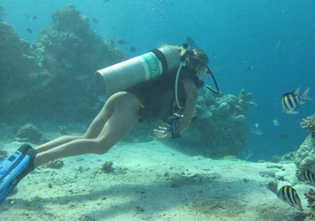 grownup corner 68 pics 14 gifs 37.html - 68 HD GIF | Premium Gallery 2016