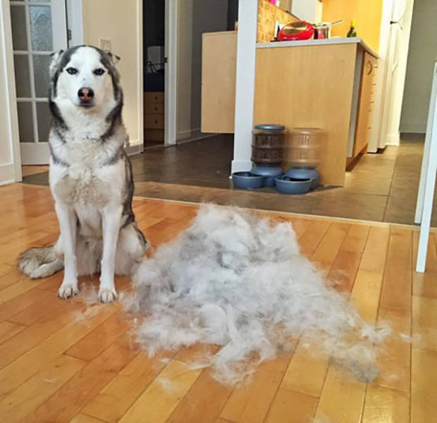 morning picdump 50 pics 15.html - 50 HD Photos | Premium Gallery 2016