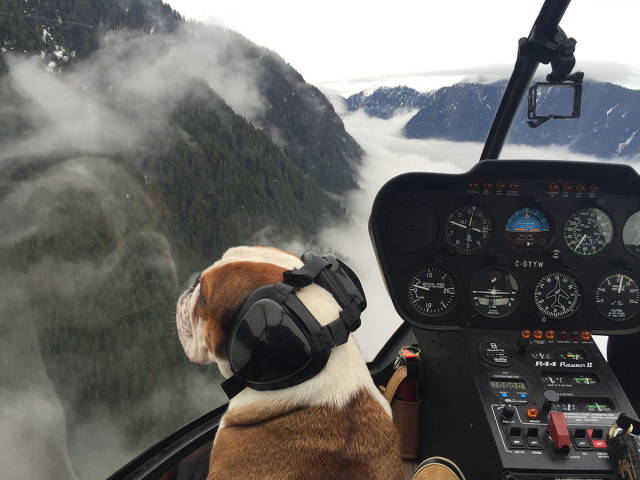 morning picdump 50 pics 15.html - 50 HD Photos | Premium Gallery 2016