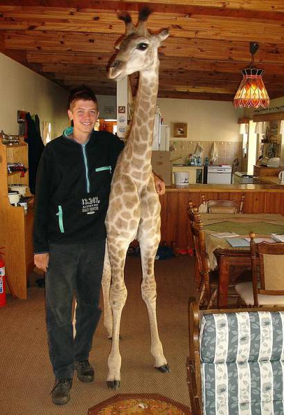 morning picdump 50 pics 15.html - 50 HD Photos | Premium Gallery 2016