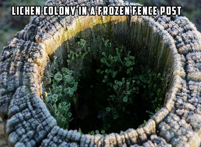 morning picdump 52 pics 11.html - 52 HD Photos | Premium Gallery 2016